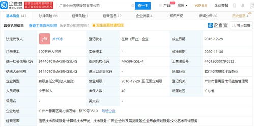 小米高層調(diào)整 王川退出廣州信息服務(wù)公司，盧偉冰接任，強(qiáng)化信息技術(shù)咨詢業(yè)務(wù)布局